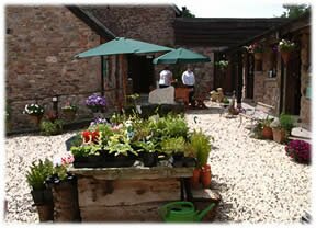 Yard area around Harts Barn